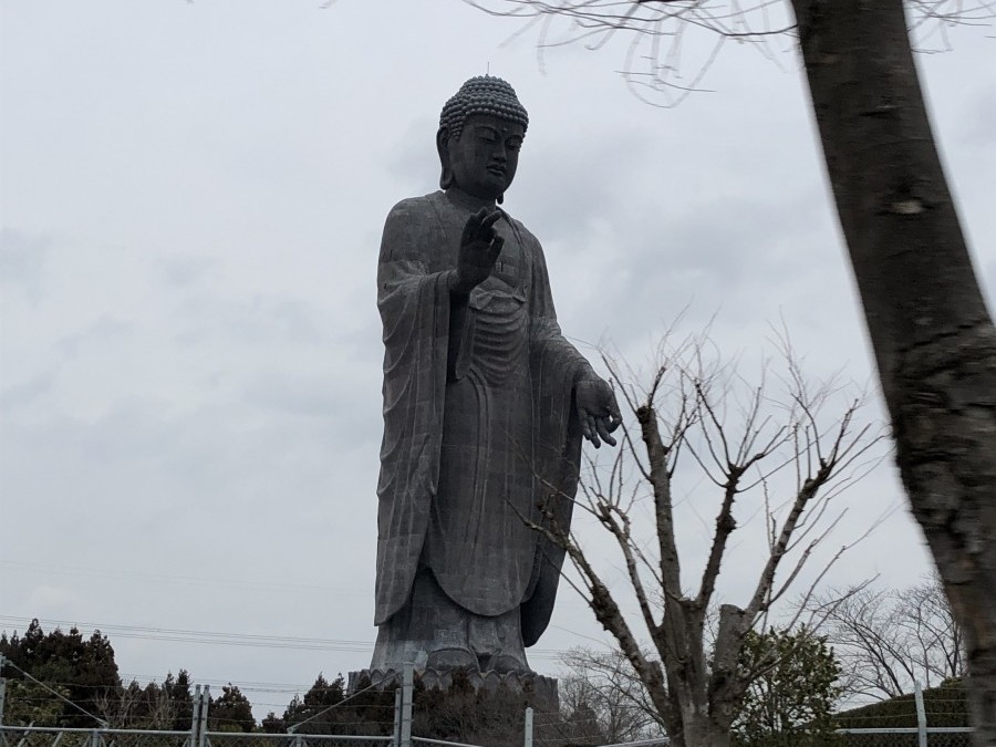 茨城県牛久大仏の近くまで出張してきました。